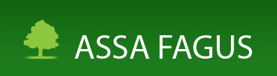 ASSA FAGUS